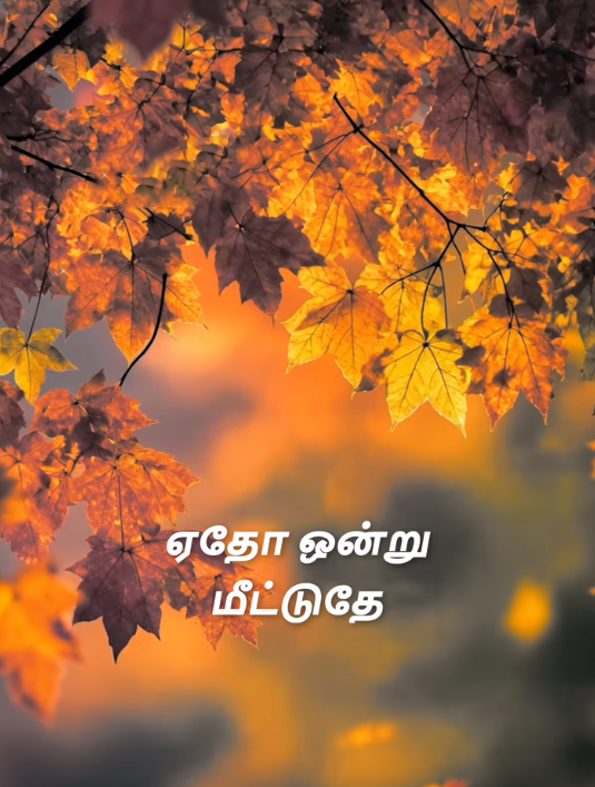 Raajaa Chandrasekar (ராஜா சந்திரசேகர்)